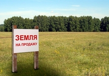 Мораторій на відчуження землі поза межами населених пунктів можуть продовжити до 2018 року — Дерев'янко